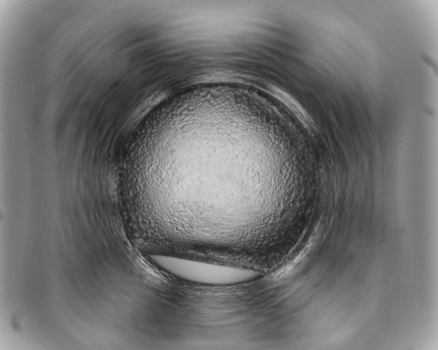 X0000096470857200802141656