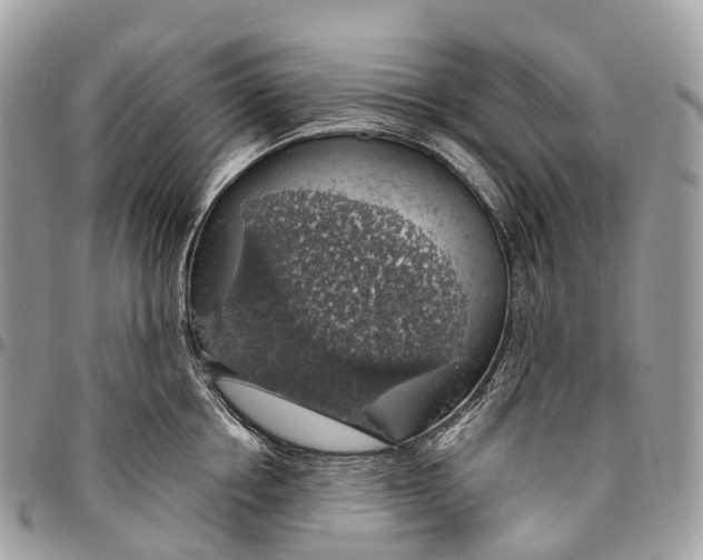 X0000096470858200802141656