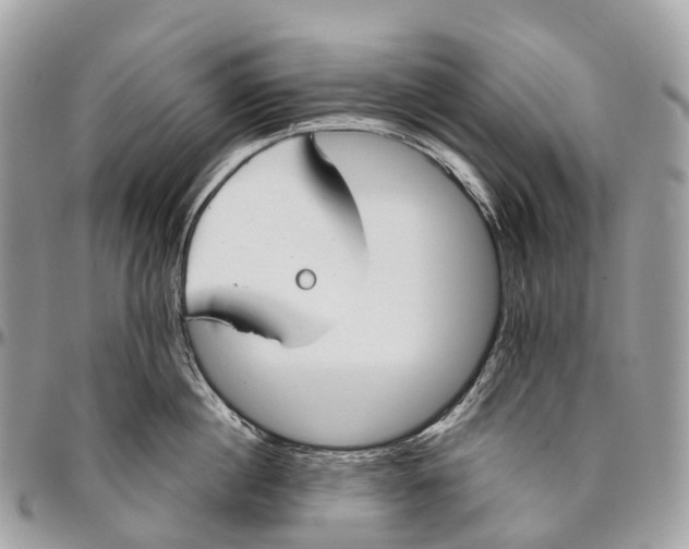 X0000096470860200802141656