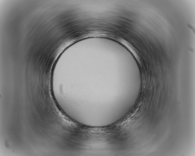 X0000096470861200802141656