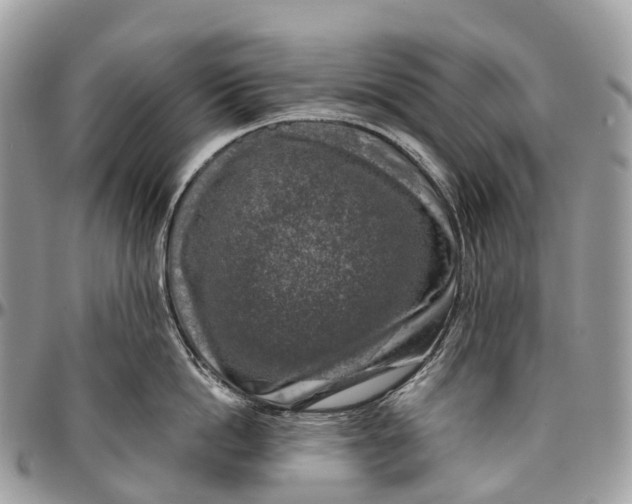 X0000096470862200802141656