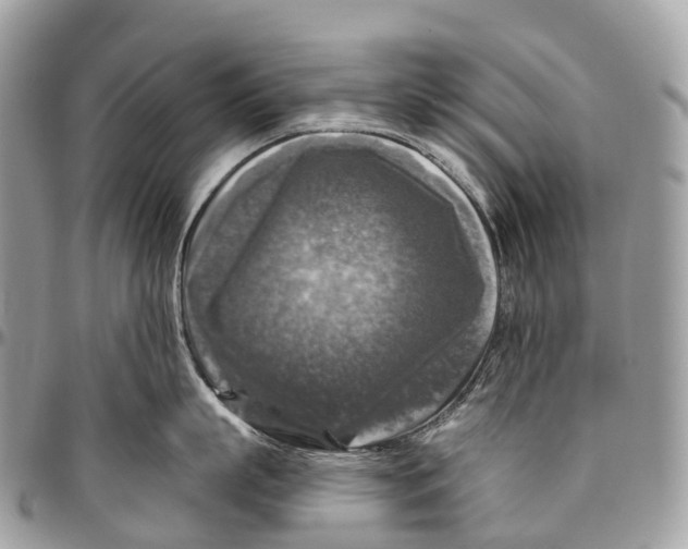 X0000096470863200802141656