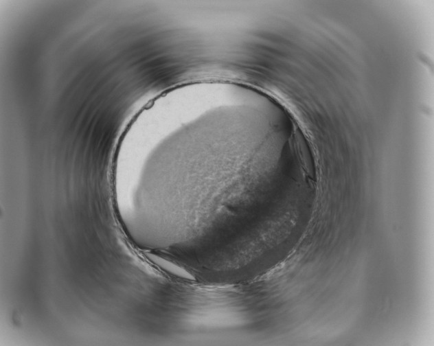 X0000096470864200802141656