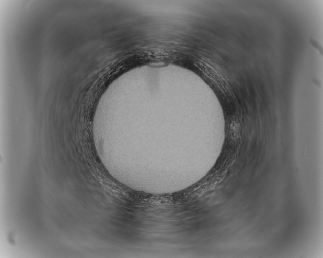 X0000096470865200802141656