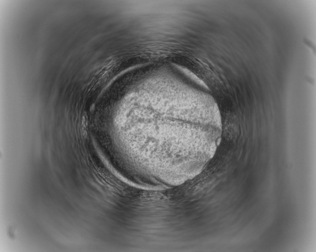 X0000096470866200802141656