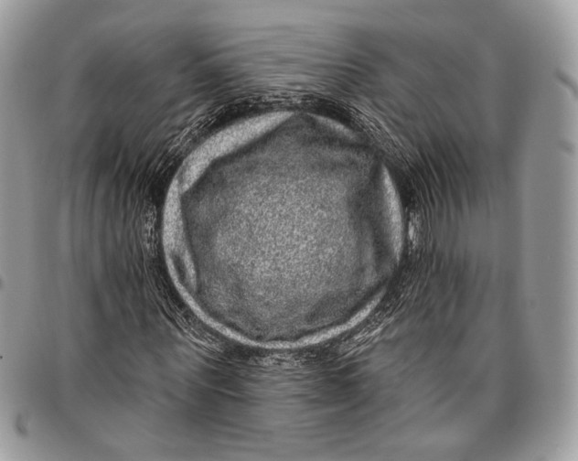 X0000096470867200802141656