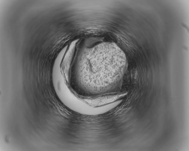 X0000096470868200802141656