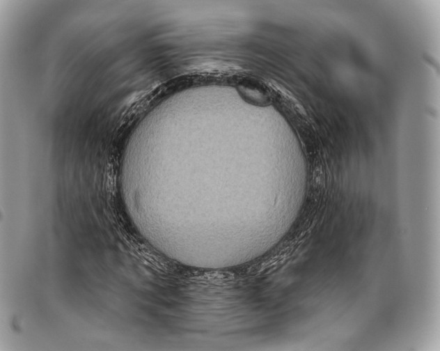 X0000096470869200802141656