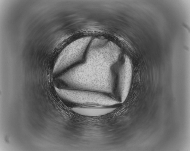 X0000096470870200802141656