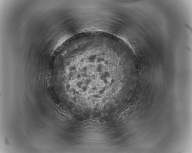 X0000096470871200802141656