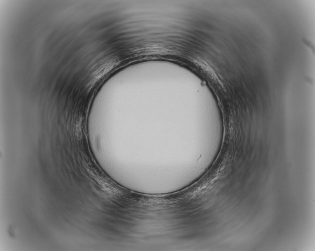 X0000096470873200802141655