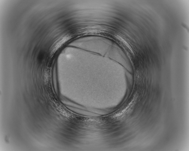 X0000096470874200802141655