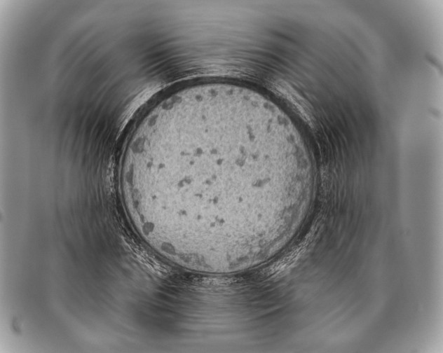 X0000096470875200802141655