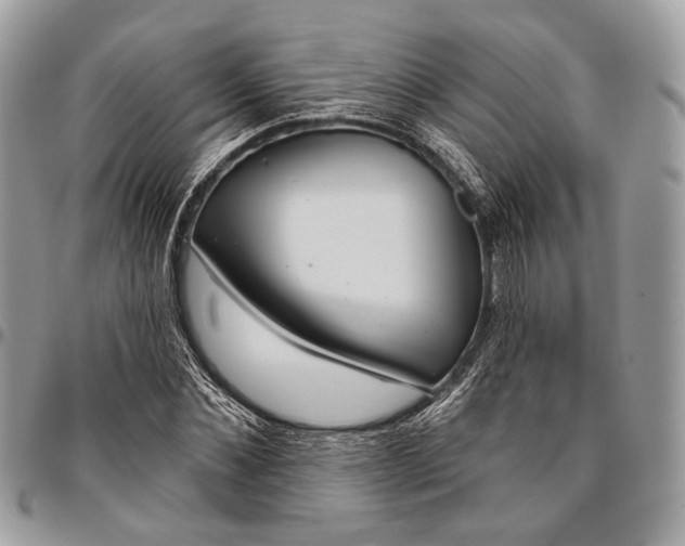 X0000096470876200802141655