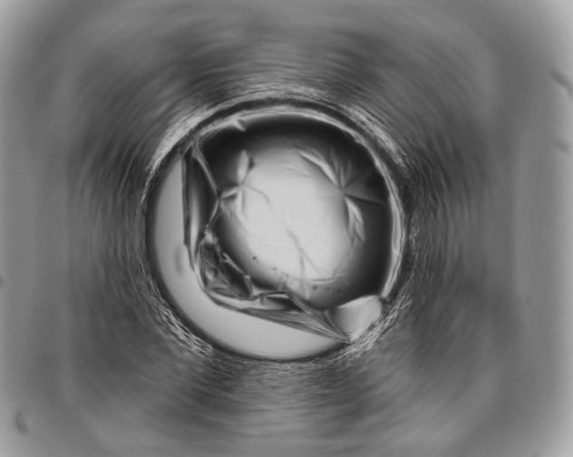 X0000096470877200802141655