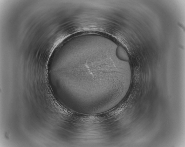 X0000096470879200802141655