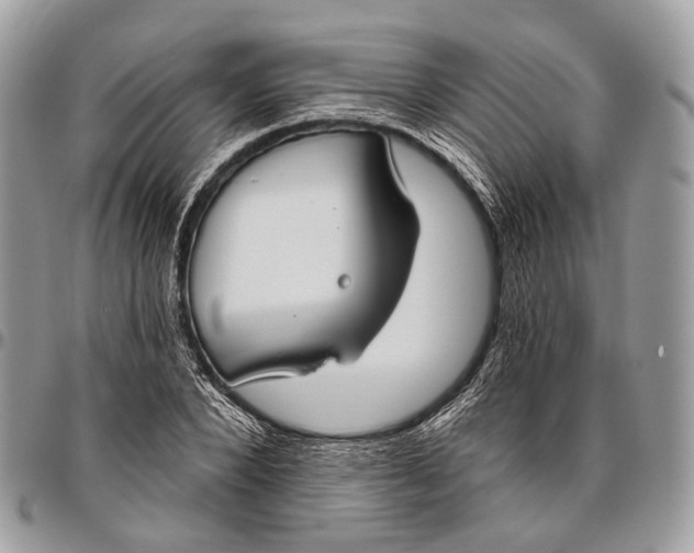 X0000096470880200802141655