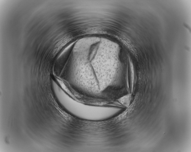 X0000096470881200802141655