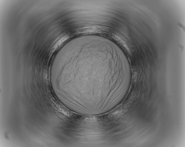 X0000096470882200802141655