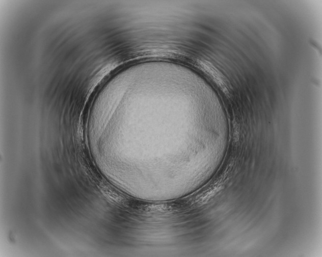 X0000096470883200802141655