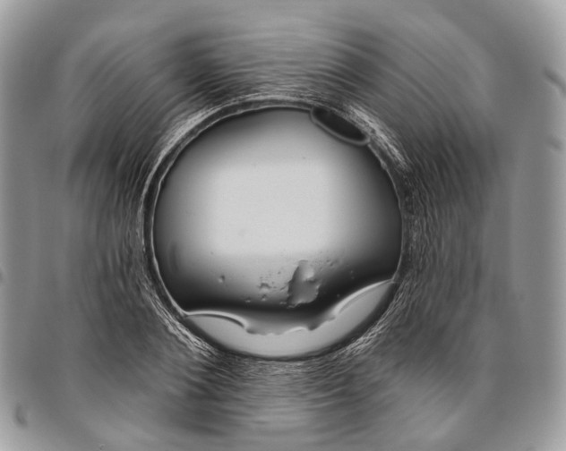 X0000096470884200802141655