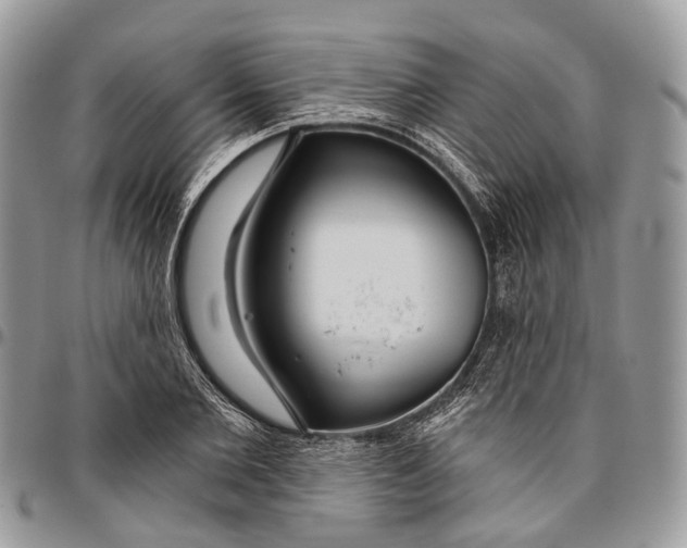 X0000096470885200802141655