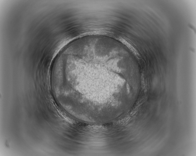 X0000096470886200802141655