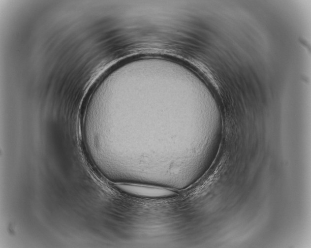 X0000096470887200802141655