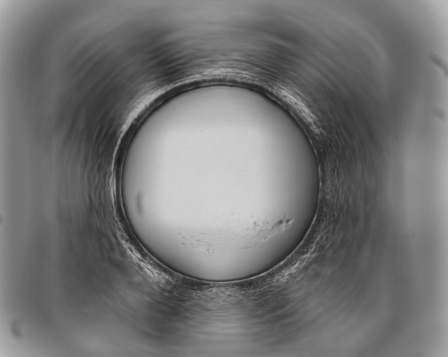 X0000096470888200802141655