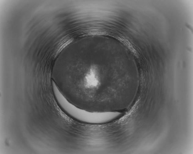 X0000096470889200802141655