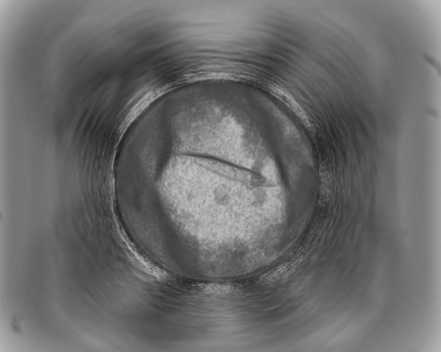 X0000096470890200802141655