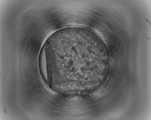 X0000096470891200802141655