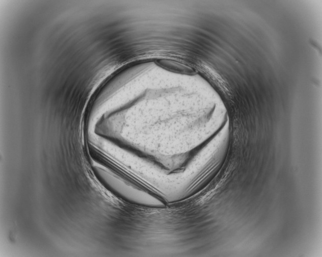 X0000096470892200802141655