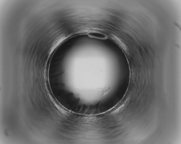 X0000096470893200802141655