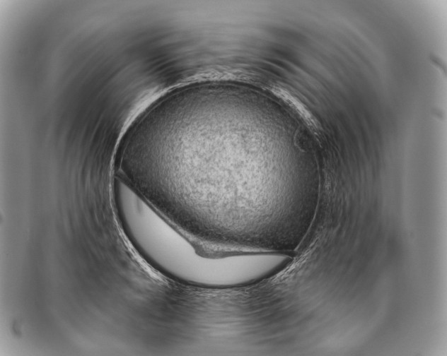 X0000096470894200802141655