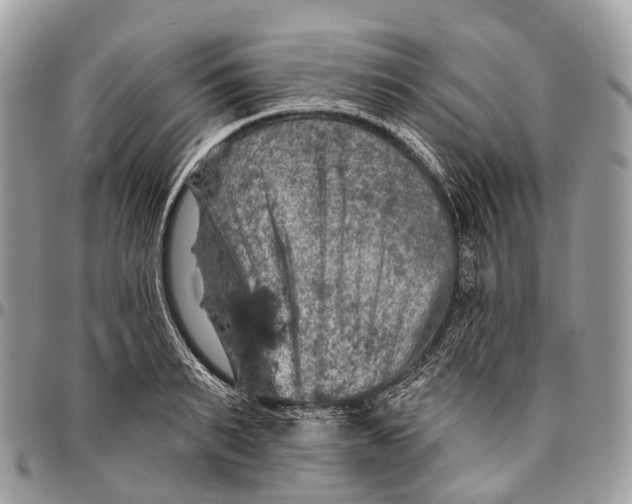 X0000096470895200802141655