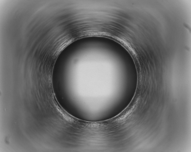 X0000096470897200802141655