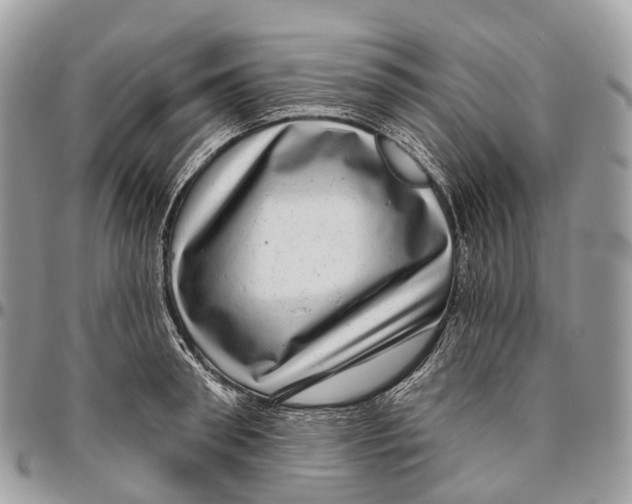 X0000096470898200802141655