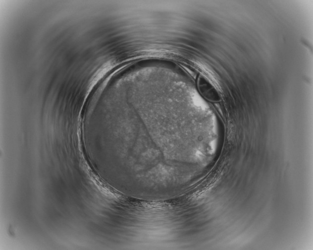 X0000096470899200802141655