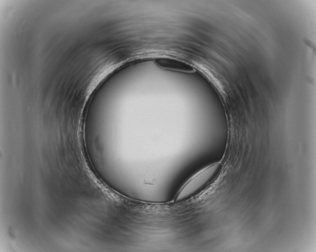 X0000096470901200802141655