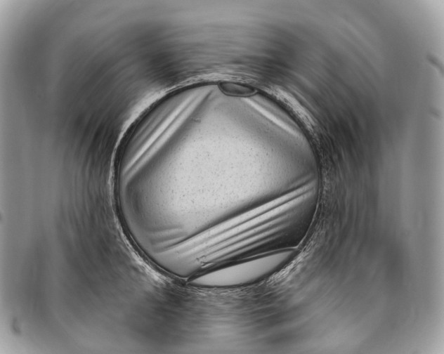 X0000096470902200802141655