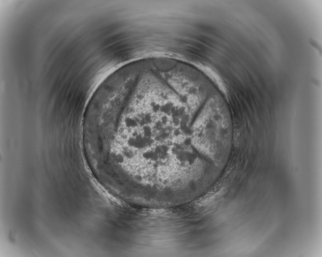 X0000096470903200802141655