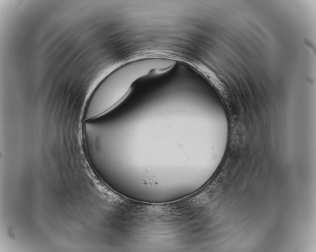 X0000096470904200802141655