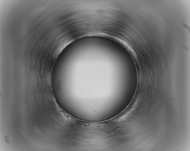 X0000096470905200802141655