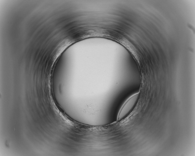 X0000096470906200802141655