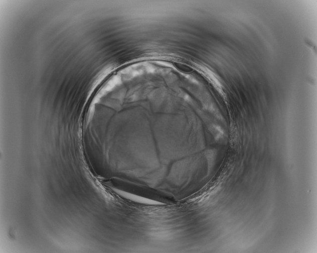 X0000096470907200802141655