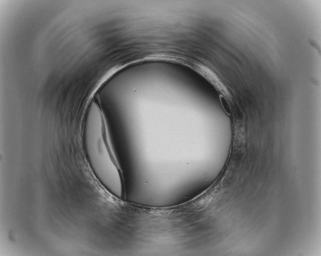 X0000096470908200802141655