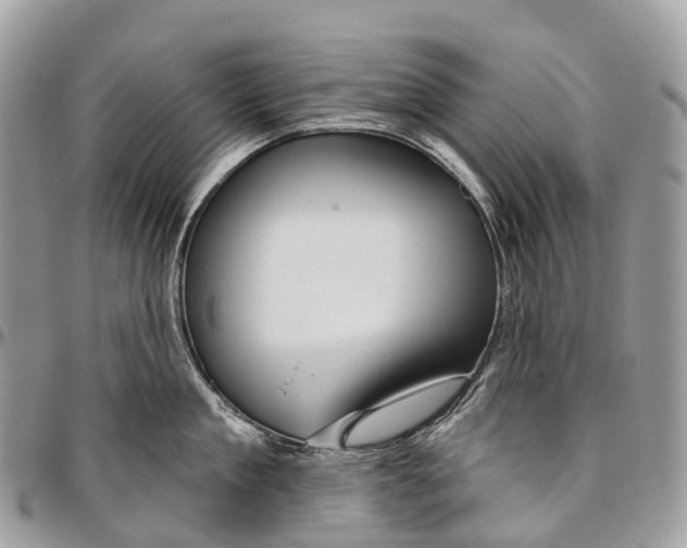 X0000096470909200802141655