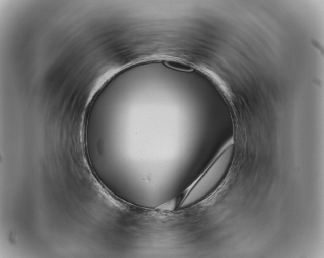 X0000096470910200802141655