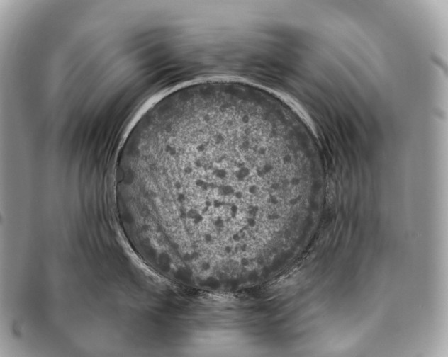 X0000096470911200802141655